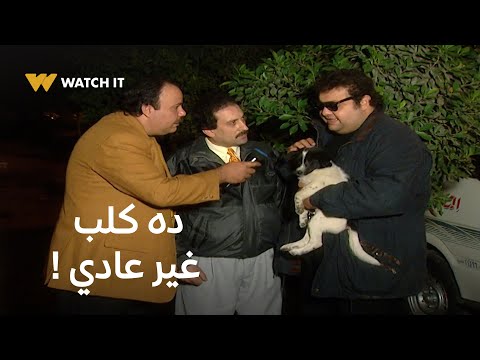 الحقونا مقلب الكلب روي حفيد كلب الكابتن صالح سليم في الشموع السوداء