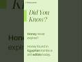 Did You Know: Fact 1: Honey #TheEducatorSir #DidYouKnow #funfacts #Learnings #honeyfacts