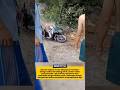 Diduga Akibat Korsleting Listrik, Sebuah Motor Terbakar Hebohkan Warga