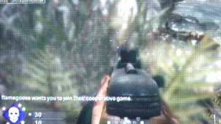 cod5 Banzai glitches