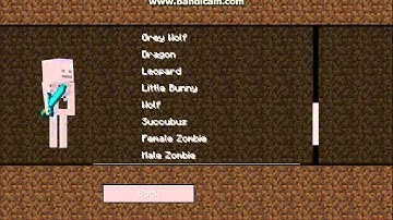 Minecraft Mod Reviews: More Player Models Mod