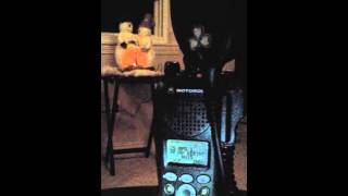 2015 Boston Police Santa Claus BOLO Announcement