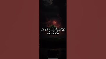 الشيخ عبد الله بعيجان سورة هود