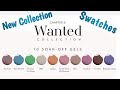 The New Madam Glam ''Wanted'' Collection Swatches