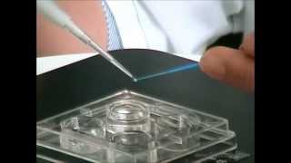 CryoLogic CVM  2  SAMPLE LOADING  (Embryo Vitrification)