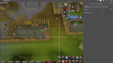 Runelite - Bot plugin - Pumba