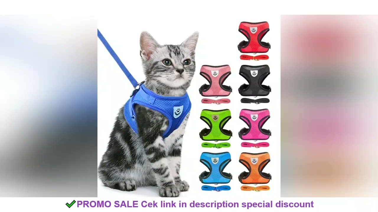Cat Harness Vest Walking Lead Leash For Puppy Dogs Collar Polyester Adjustable Mesh Dog Harness For