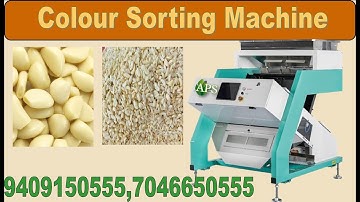 Garlic Color Sorting Machine Installation In Ahmedabad Gujarat