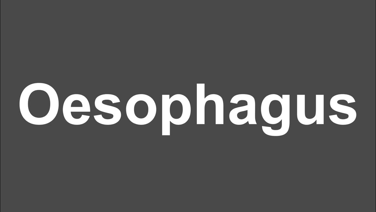 how-to-pronounce-oesophagus-oesophagus-pronunciation-how-to-say