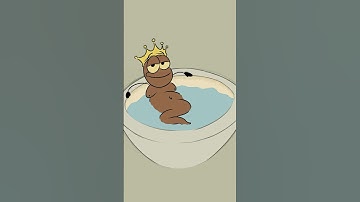 Als je bij een vriend bent en je krijgt er een van deze 🤣🤣 (4k memes)