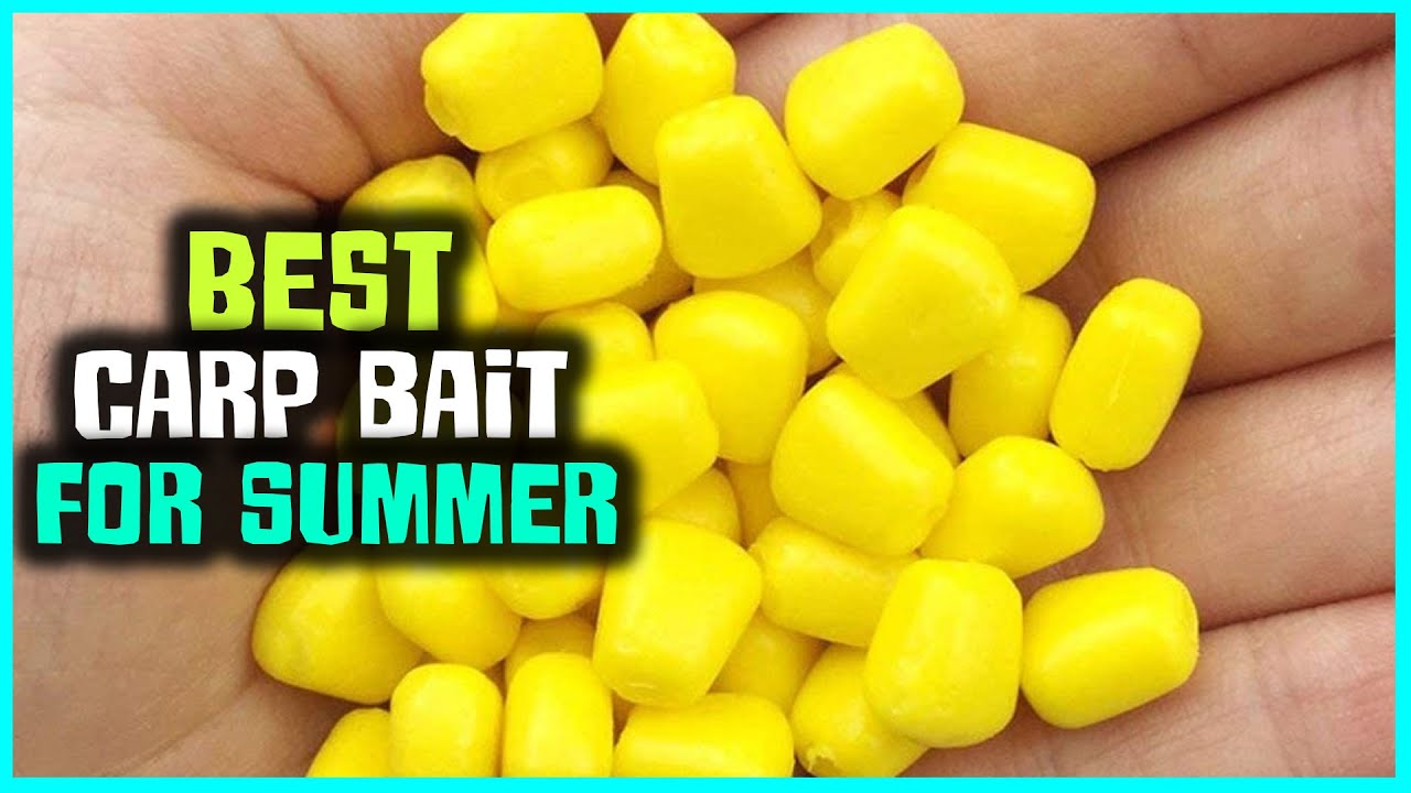 Best Carp Bait for Summer in 2023 - Top 5 Review and Buying Guide