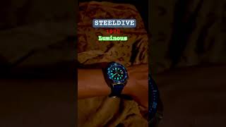 Steeldive 1970 luminous check #steeldive #homagewatch
