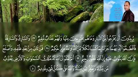 سورة المائدة ترتيل أشرف نجم