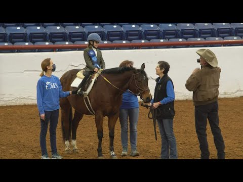 Equest Clients Bring Home the Blues at the Fort Worth Stock Show & Rodeo-Chisolm Challenge