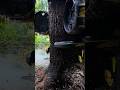 Chainsaw Tree Felling in Satisfying Slow Motion 🌲 #shorts
