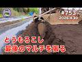 【とうもろこし】 第753話、苗の成長に追われて最後のマルチを張る。#オーガニック栽培 #家庭菜園 #農業VLOG