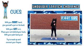 Functional Fitness Challenge Shoulder Stretch