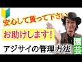 【どんどん貰ってOK!】ビッグな園芸店　店長が教える　アジサイの育て方管理の仕方を教えます！ギフトで貰う事の多い紫陽花はこの特徴を知っていれば初心者でも必ず咲かせることができます！