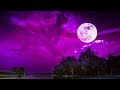 Relaxing Sleep Music 24/7, Meditation, Spa, Zen, Sleep, Calming Music, Study Music, Sleep Meditation