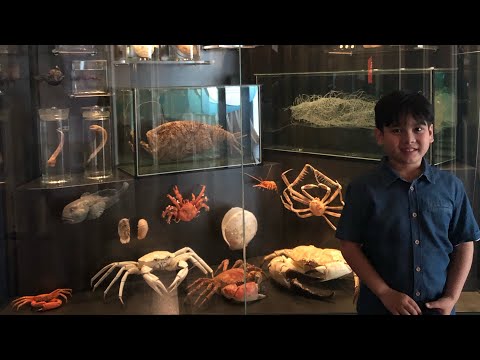 Trip to Boola Bardip WA Museum part 2