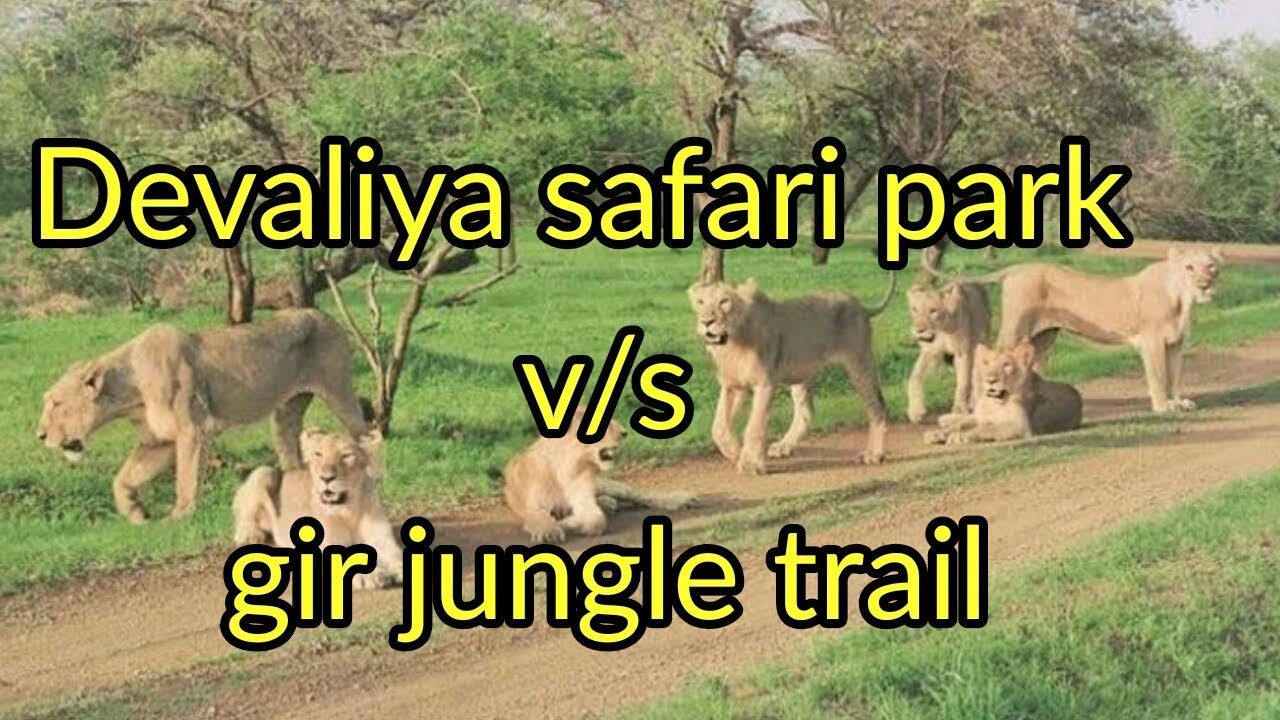 devalia safari park vs gir jungle trail