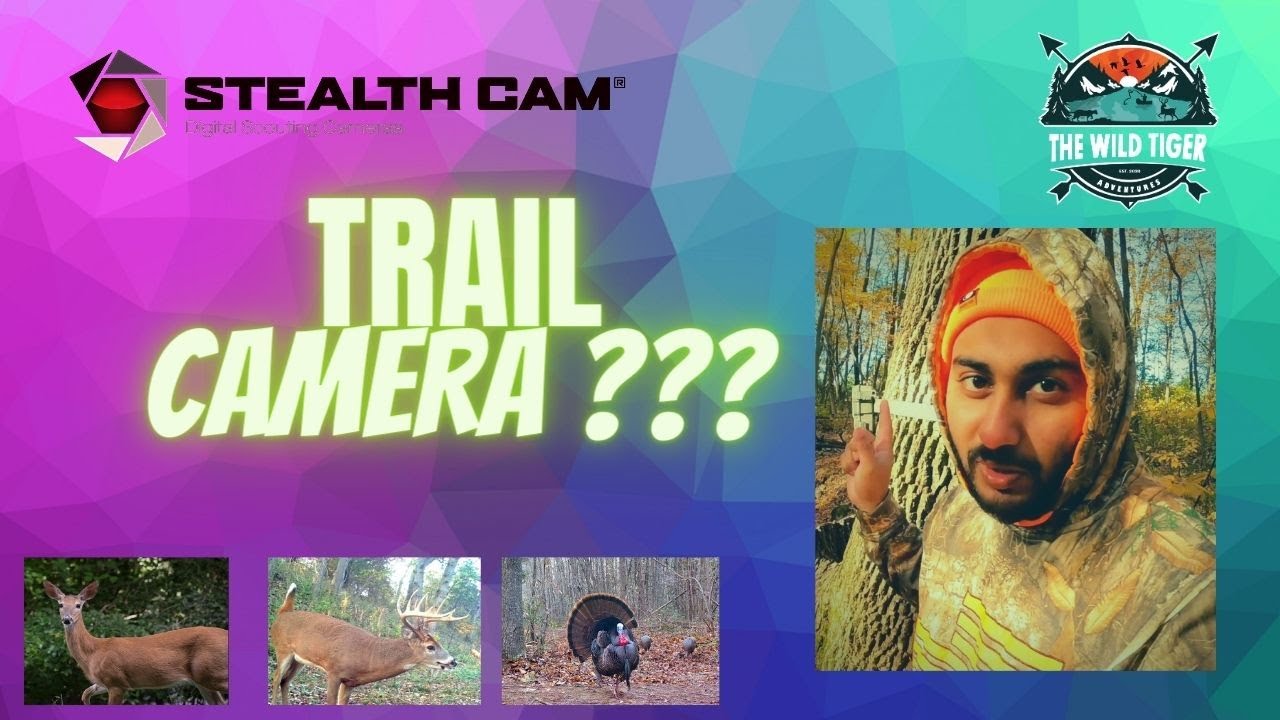 TRAIL CAMERA YouTube