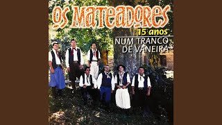 Video thumbnail of "Os Mateadores - Retemperado a Gaitaço"