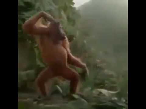 tanzender Affe 😂