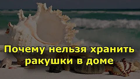 Почему нельзя хранить ракушки в доме: народные приметы о влиянии сувенира