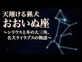 「おおいぬ座」〜天翔ける猟犬〜シリウスと冬の大三角、名犬ライラプスの物語