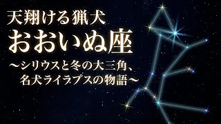 「おおいぬ座」〜天翔ける猟犬〜シリウスと冬の大三角、名犬ライラプスの物語