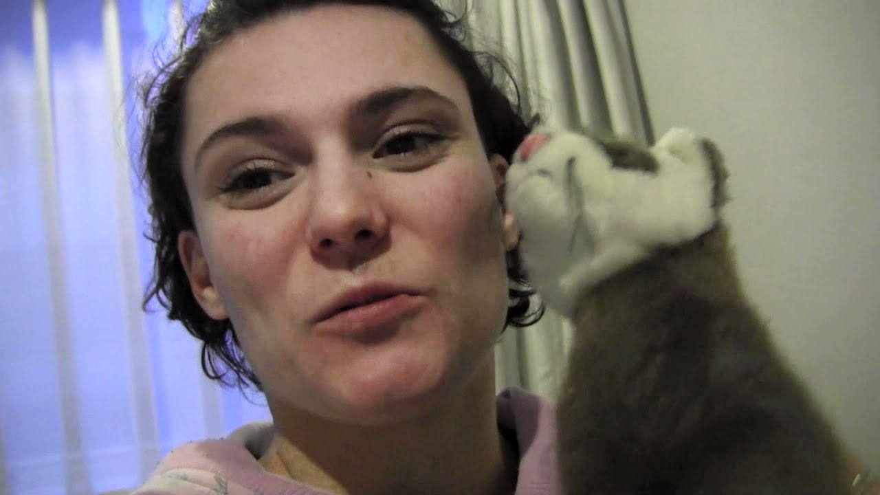 What to do when you miss your ferrets - www.Ferret-World.com