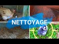 Nettoyage et mise en situation des couvaisons   mes poules et moi