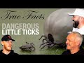 True Facts: Dangerous Little Ticks REACTION!! | OFFICE BLOKES REACT!!