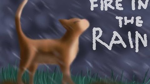 Fire in The Rain - PMV / AMV ANIMAL OC MAP (3 / 14 taken)