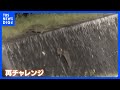 “スパルタ教育”なイノシシ「野生の育て方」はスゴイ！ウリ坊の前に立ちはだかる高すぎる壁｜TBS NEWS DIG