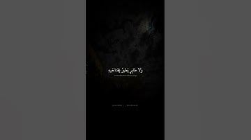 وَما مِن دابَّةٍ فِي الأَرضِ وَلا طائِرٍ   محمد صديق المنشاوي   سورة الأنعام