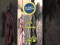 أوان صلاح جاهين Shorts زجل أوان صلاح جاهين Shorts زجل