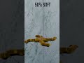 0-100% sphere 3D soft body simulation in blende