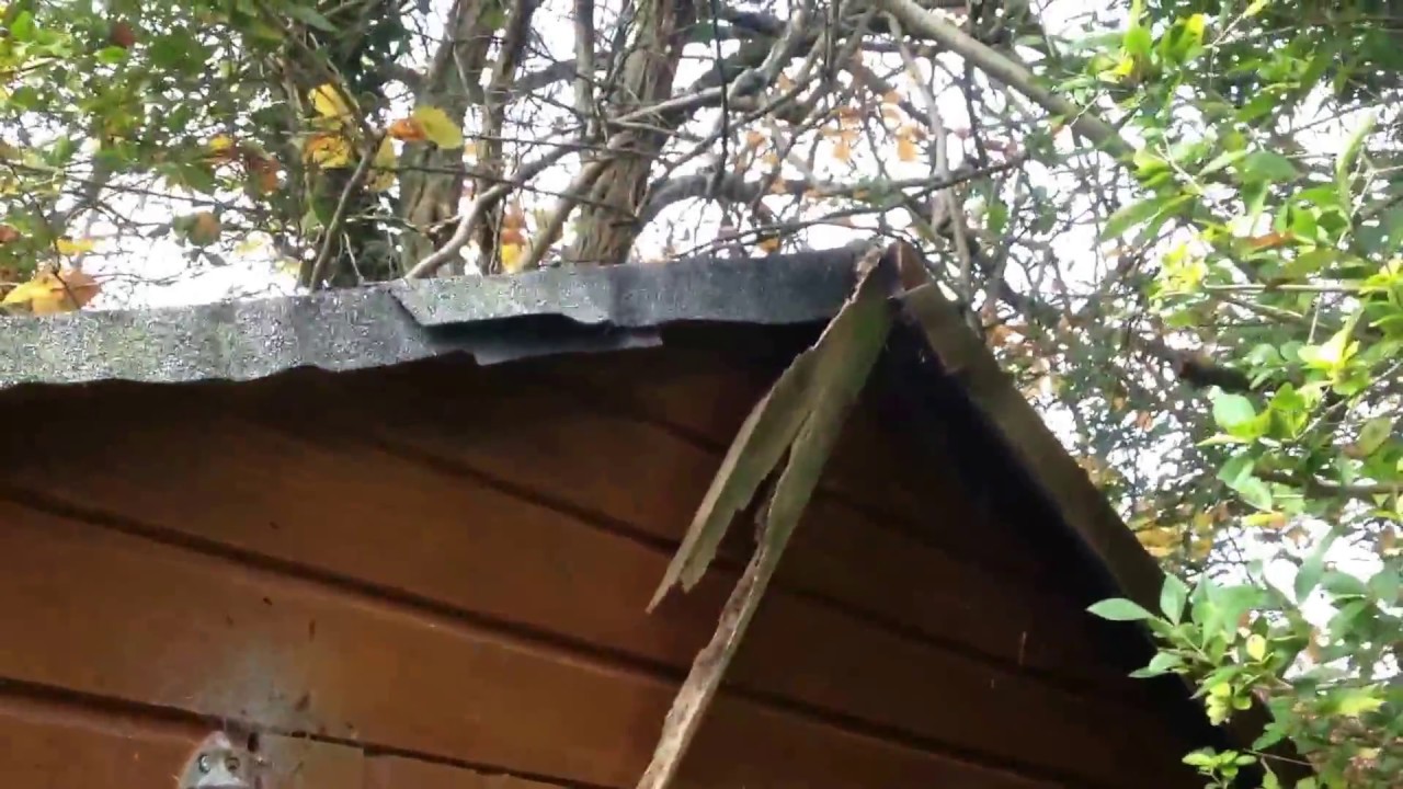 SHED Roof Handyman DIY TIPS Repair part 1 - YouTube