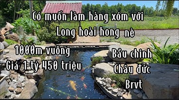 Kham không nỗi cô ước cần bán đất vườn nông thôn bàu chinh châu đức bà rịa vũng tàu không khí mát mẻ