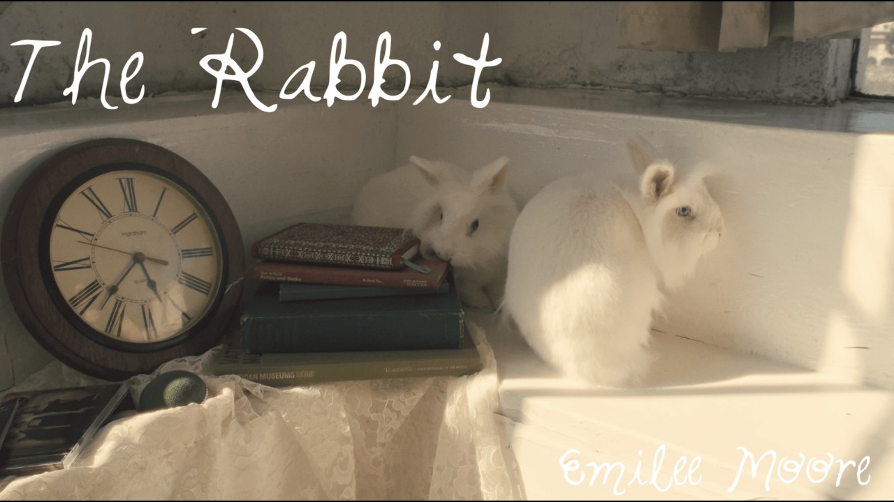 Emilee Moore - The Rabbit (Official Lyric Video)