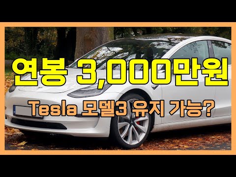 연봉 3000만원 직장인 테슬라 모델3 유지 가능 할까 