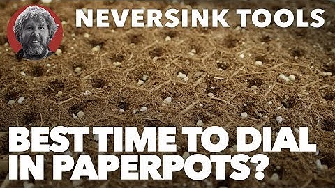 When is the Best Time to Dial In Paperpots?