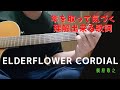 歌詞の意味に気付けない奴は時...既に遅しのElderflower Cordial / 槇原敬之【歌ってみた】