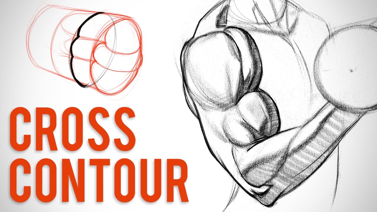 Featured image of post Arm Bicep Drawing If your arms aren t responding to conventional training it s time for some bicep and tricep blasting circuits