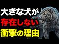なぜ大きなネコ科動物がいるのに、“大きなイヌ科動物”はいないのか?
