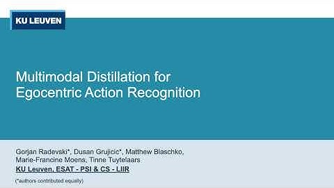 Multimodal Distillation for Egocentric Action Recognition