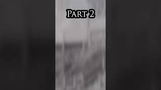 The Echoes Of Elizabeth Street - Part 2