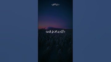 سورة العلق #قران_كريم #قرآن #تلاوات #تلاوة #تلاوة_خاشعة #سورة